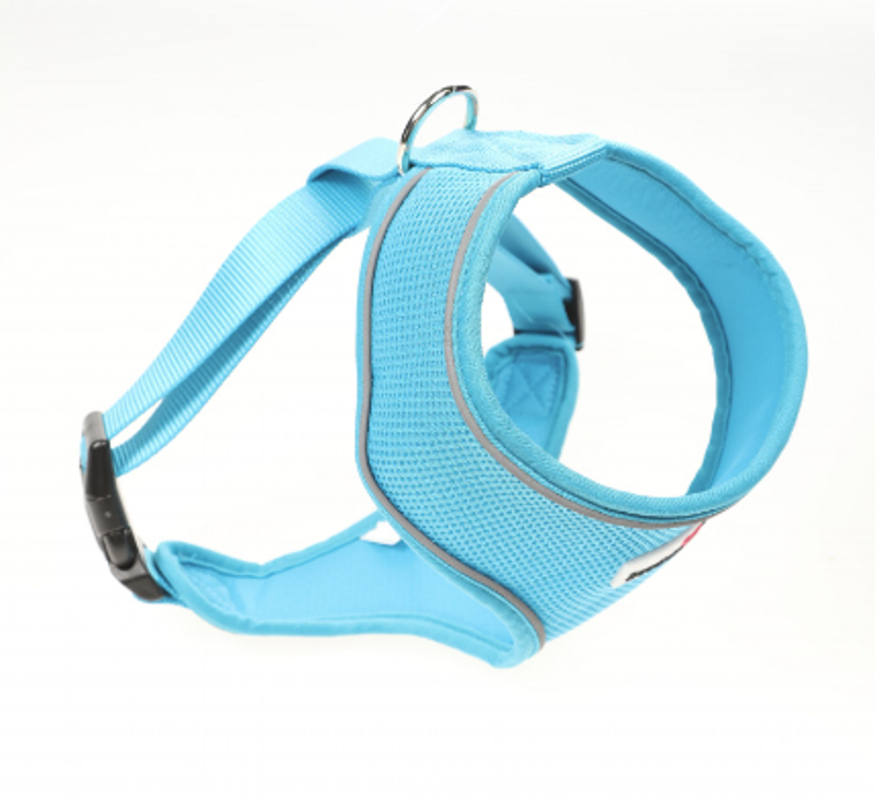 Doodlebone Original Airmesh Harness Aqua-1